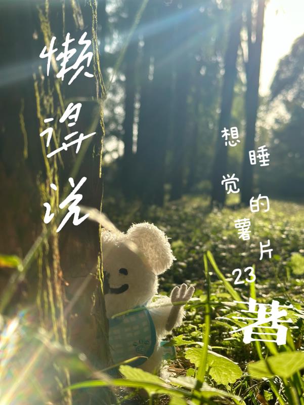 懒得说懒得说